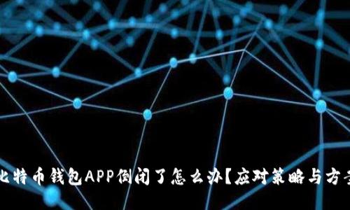比特币钱包APP倒闭了怎么办?应对策略与方案