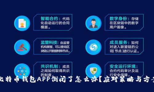 比特币钱包APP倒闭了怎么办?应对策略与方案