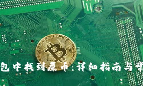 如何在TP钱包中找到屎币:详细指南与常见问题解答