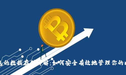 比特币钱包的数据存储详解:如何安全有效地管理你的比特币资产