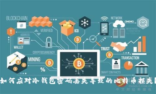 如何应对冷钱包密码丢失导致的比特币损失?