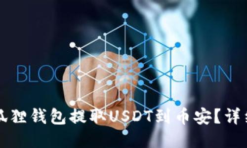 如何通过狐狸钱包提取USDT到币安?详细步骤指南