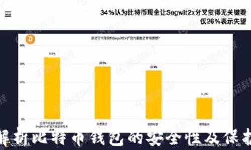 全面解析比特币钱包的安全性及保护措施