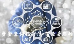 tP钱包真实资金查询指南：