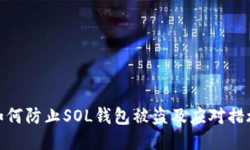 如何防止SOL钱包被盗及应对措施