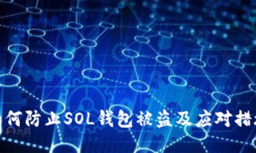 如何防止SOL钱包被盗及应对措施