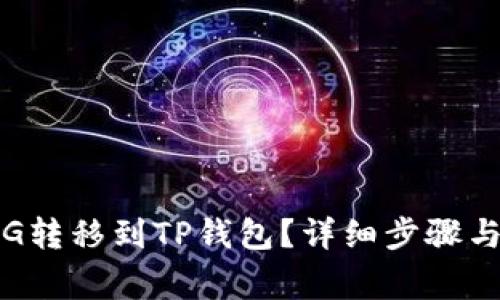 如何将PIG转移到TP钱包?详细步骤与注意事项