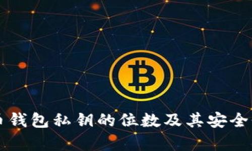 比特币钱包私钥的位数及其安全性解析