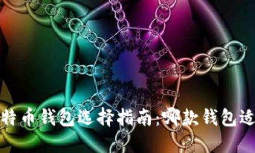 iOS比特币钱包选择指南:哪款钱包适合你?