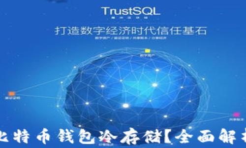 如何安全地使用比特币钱包冷存储?全面解析方法与注意事项