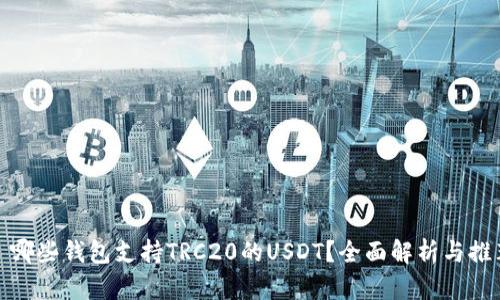 : 哪些钱包支持TRC20的USDT?全面解析与推荐
