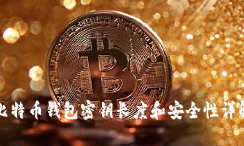比特币钱包密钥长度和安全性详解