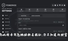 2023年比特币钱包地址排名