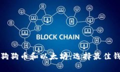 如何安全存储狗狗币和以